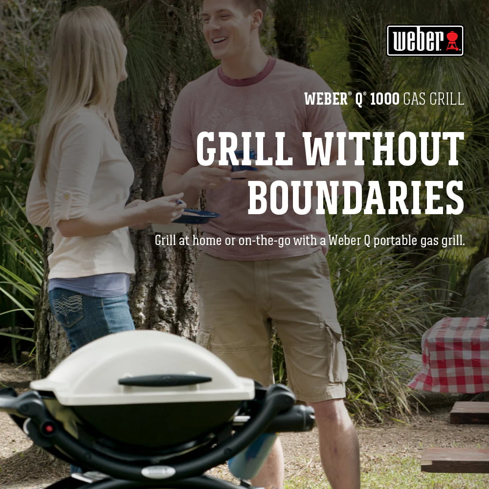 Q 1000 1-Burner Portable Gas Grill, Titanium