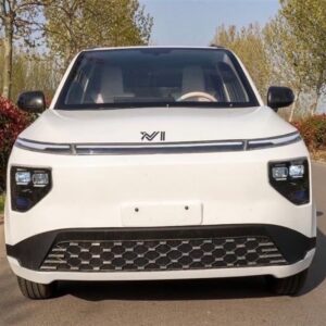 NV Motor Group NVII Mini Electric LSV 4-Passenger Low-Speed Vehicle, 25 MPH Top Speed, 90-Mile Range, 3000W/4000W Dual Motors Powered Ride-On