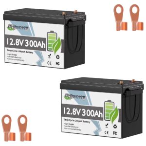 2Pack 12V 300Ah LiFePO4 Lithium Battery,TCBWORTH Batteries for RV,Solar,Marine,Camper,Home Energy Storage,Golf Carts,off-Grid,Built in 200A BMS,15000+ Deep Cycles