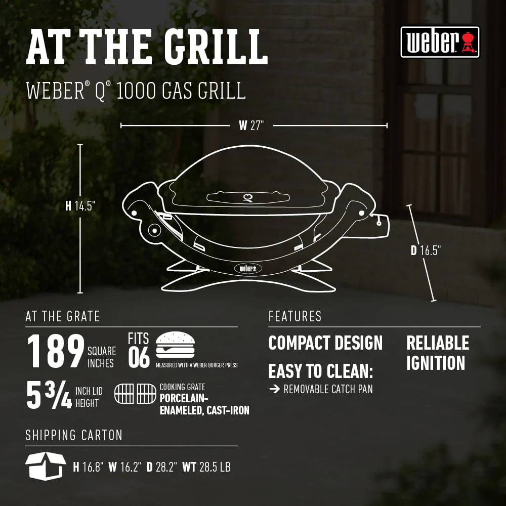 Q 1000 1-Burner Portable Gas Grill, Titanium